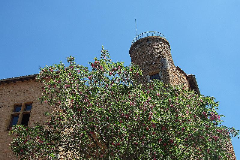 2010-06- (135).JPG